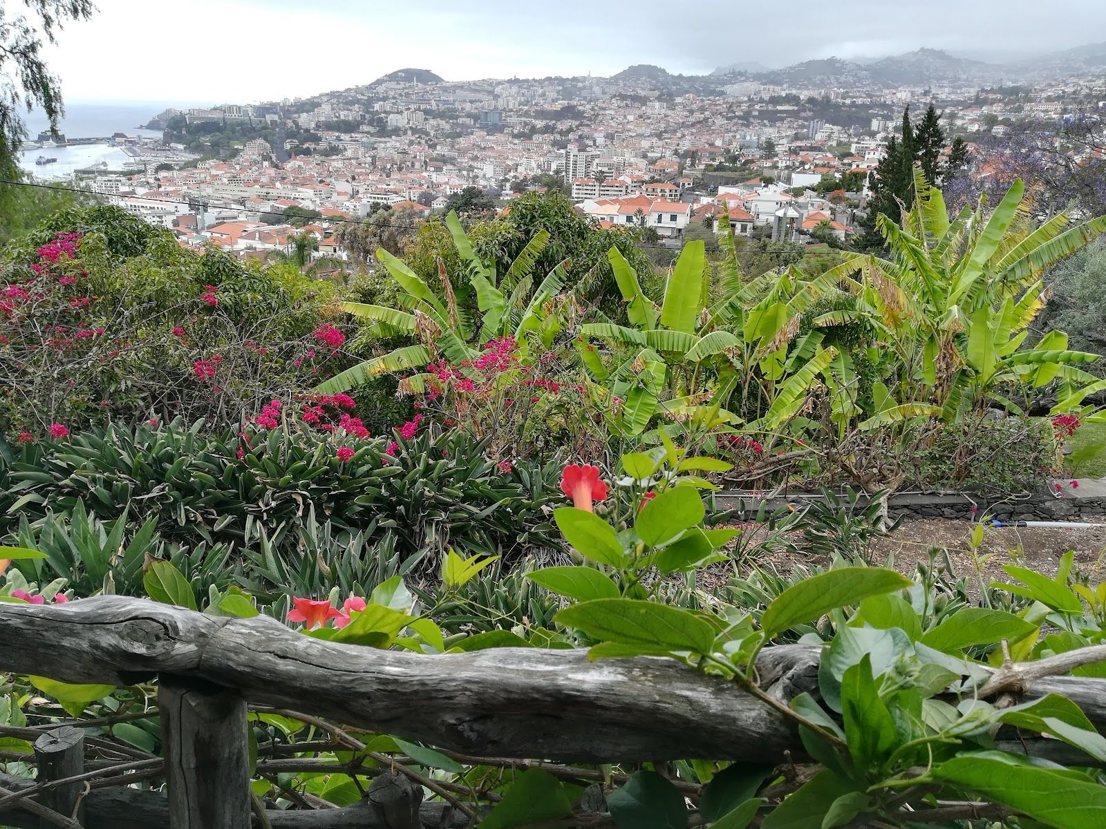 Quinta da Boa Vista