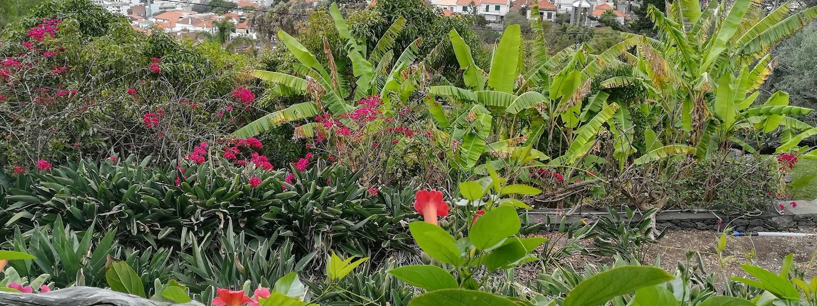 Quinta da Boa Vista
