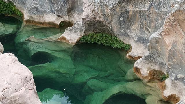 Ущелина Тамара