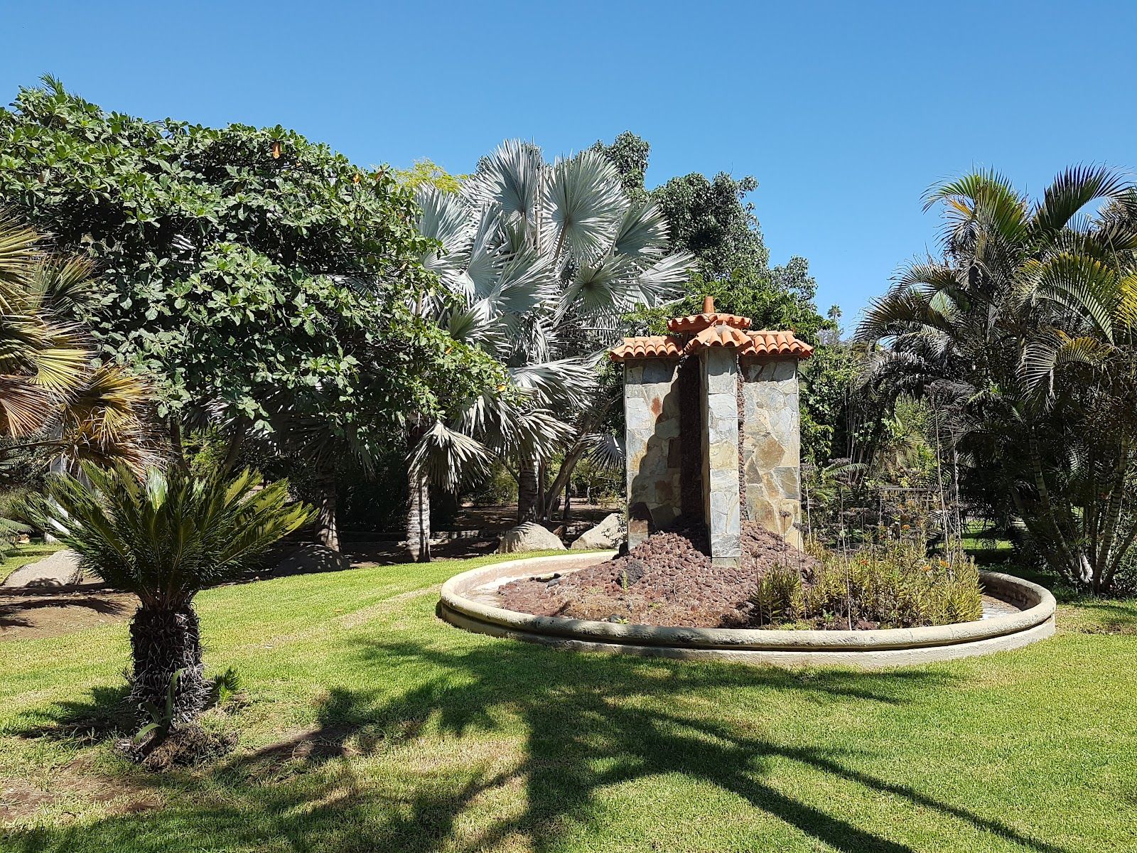 Maspalomas Botanical Park