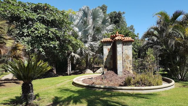 Maspalomas Botanical Park