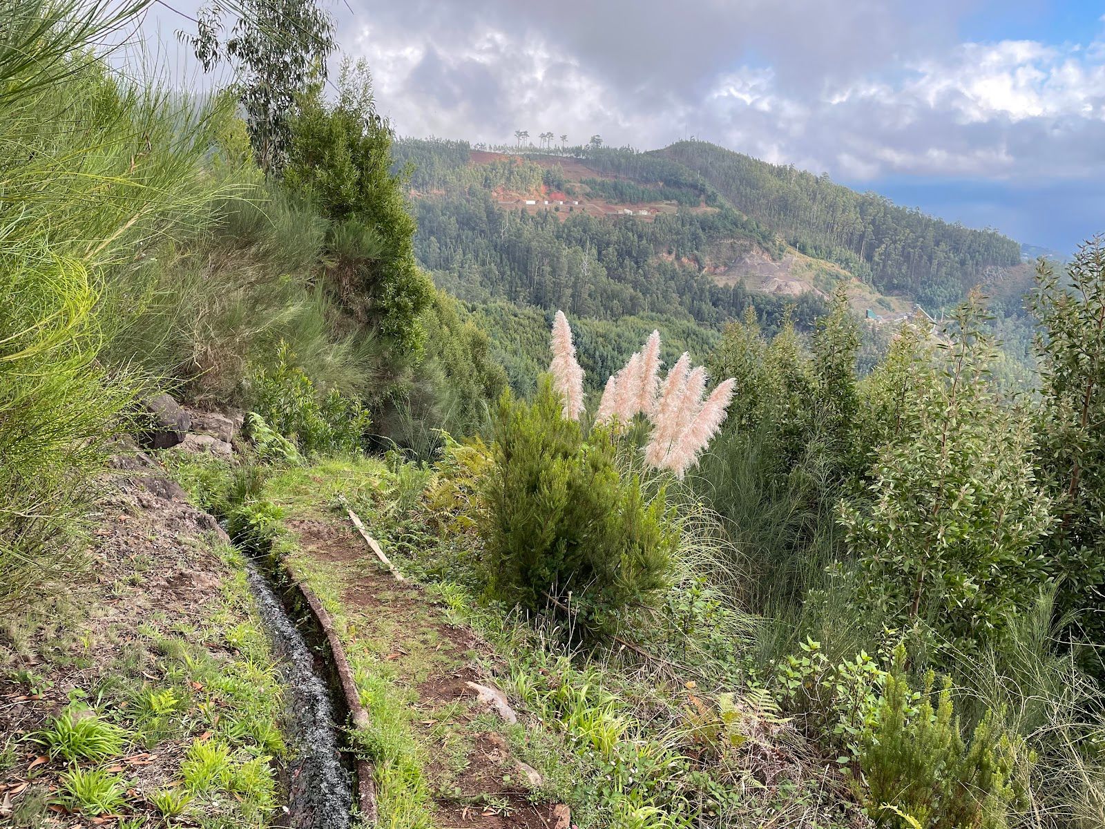 PR 4 Levada do Barreiro
