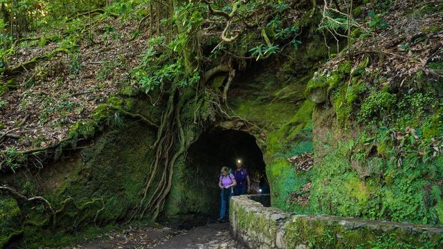 Madeira's levadas for a first trip: seven walks to start with