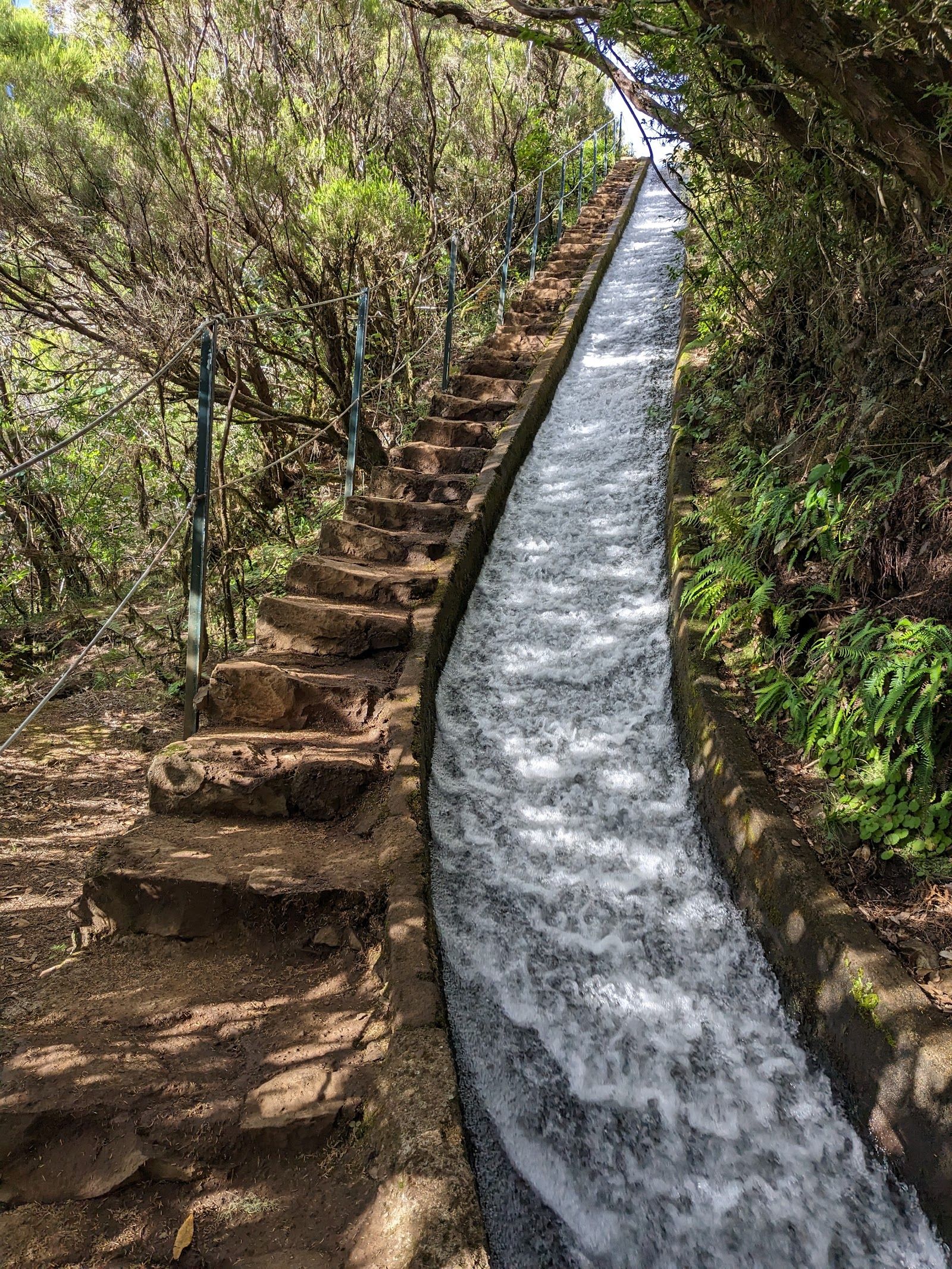 Levada do Alecrim