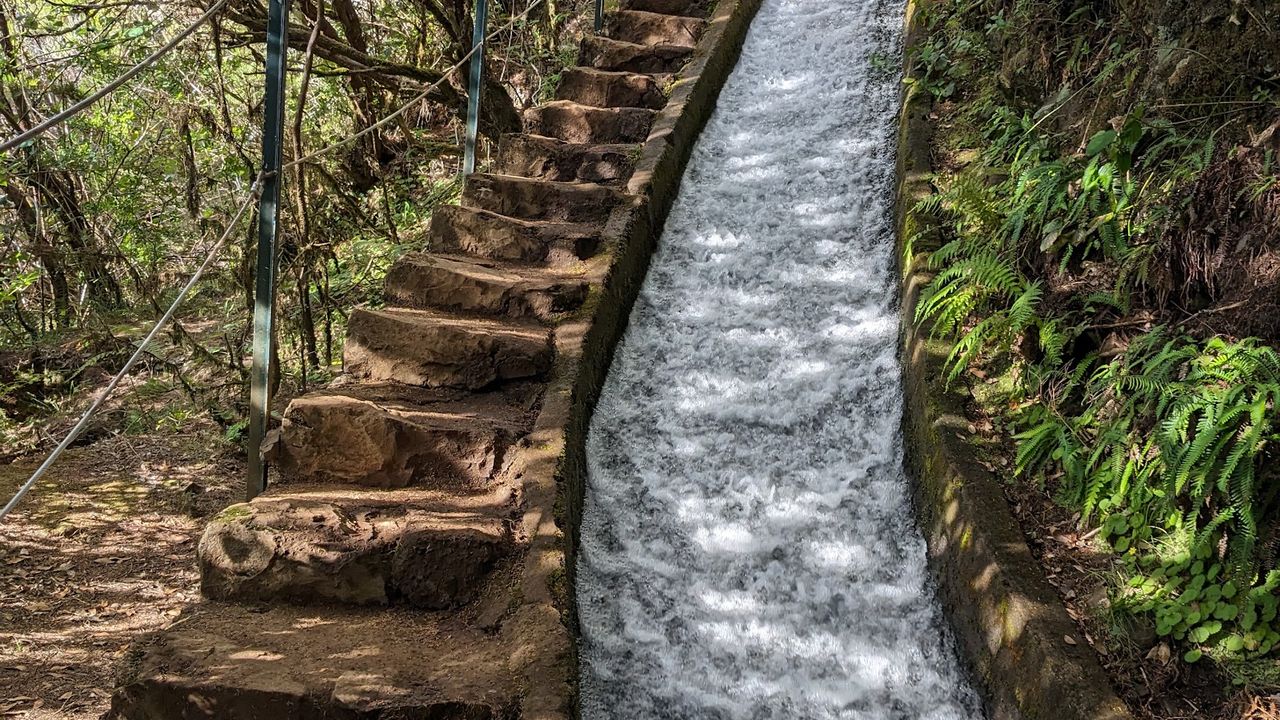 Levada do Alecrim
