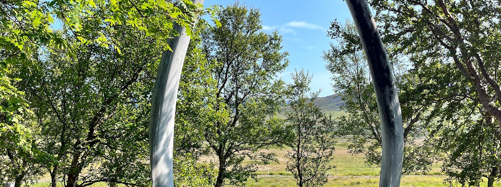 Skrúður Botanical Garden