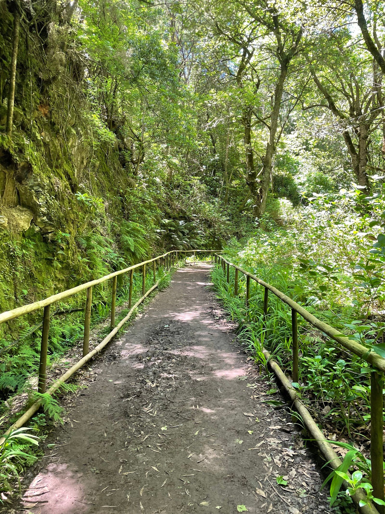 A Path for Everyone – Accessible Trail