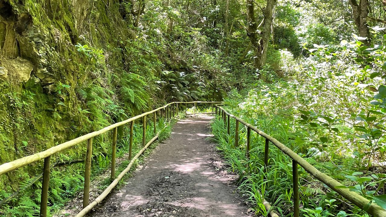 A Path for Everyone – Accessible Trail