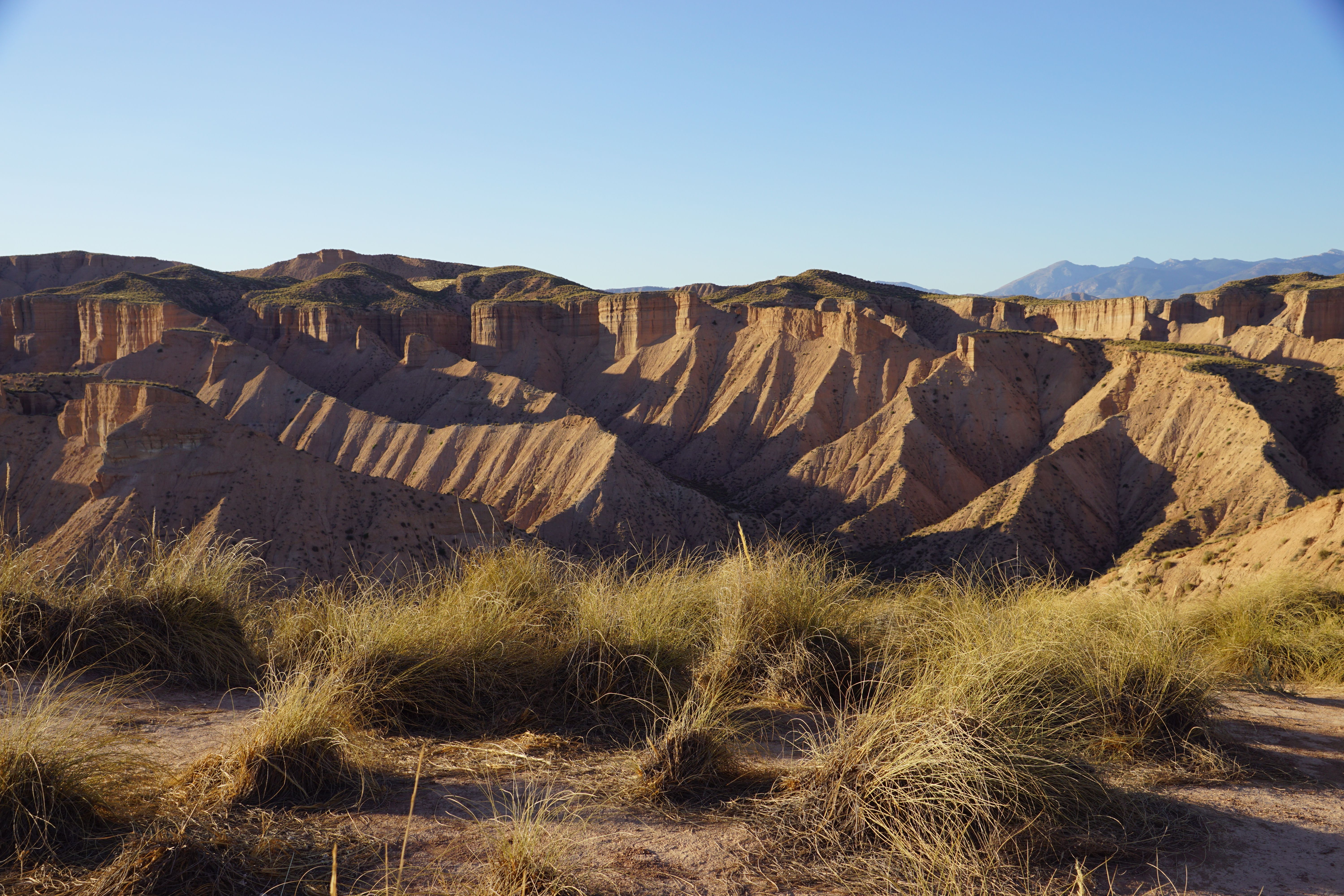 Beas de Guadix