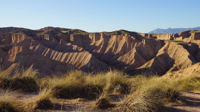 Beas de Guadix