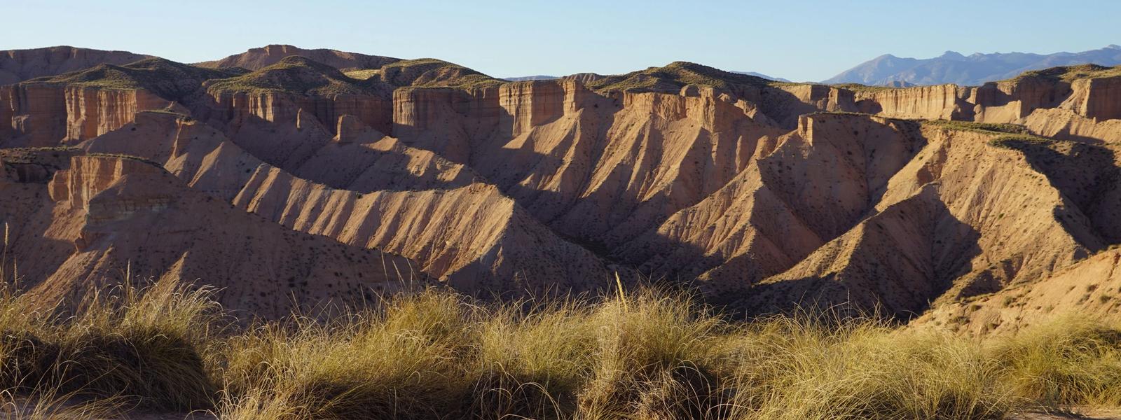 Beas de Guadix