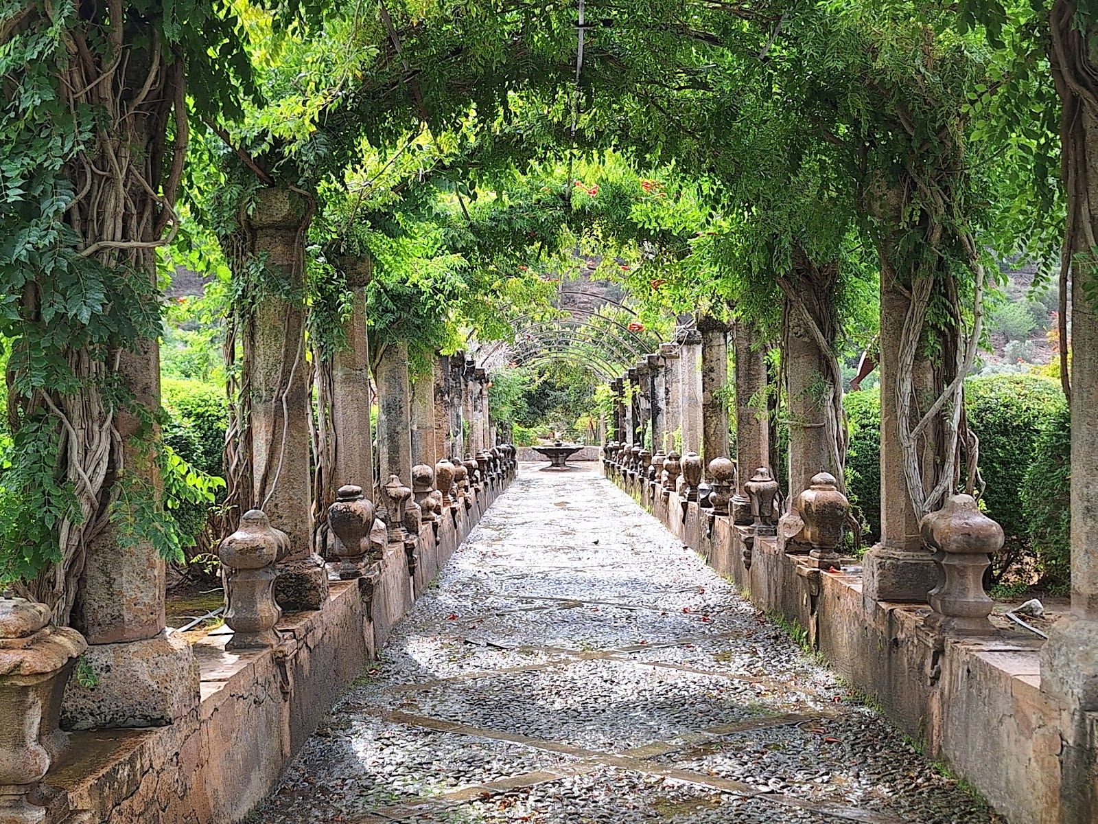 Jardins d'Alfàbia