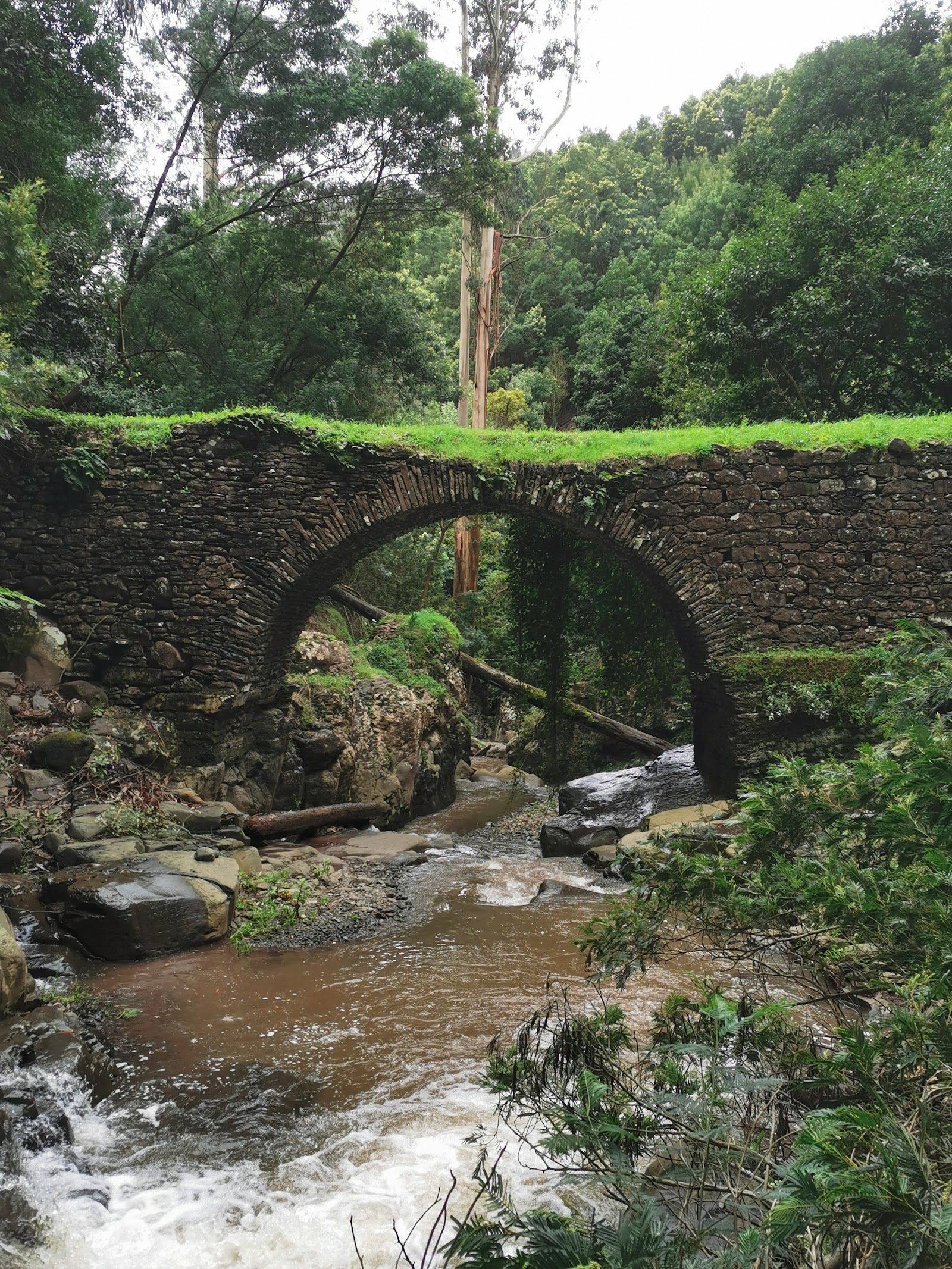 Ponte de Roma