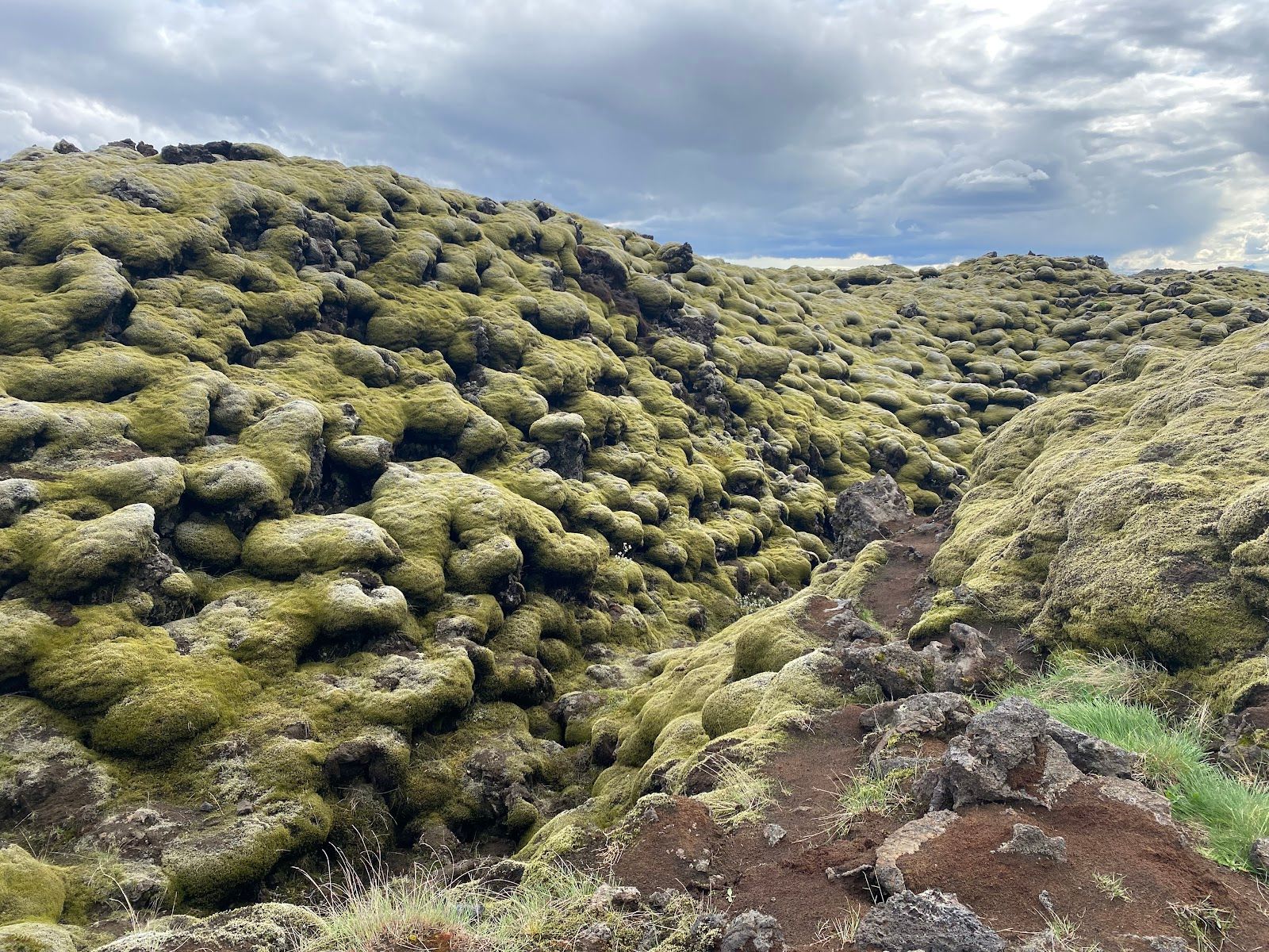 Eldhraun Lava Field