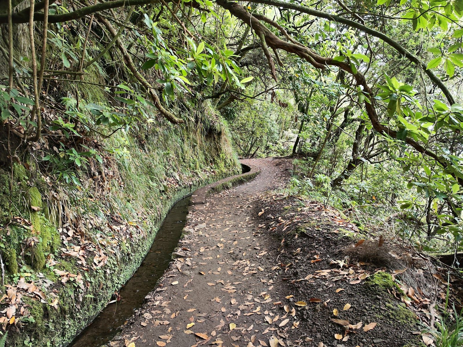 Levada do Caldeirão Verde Trail