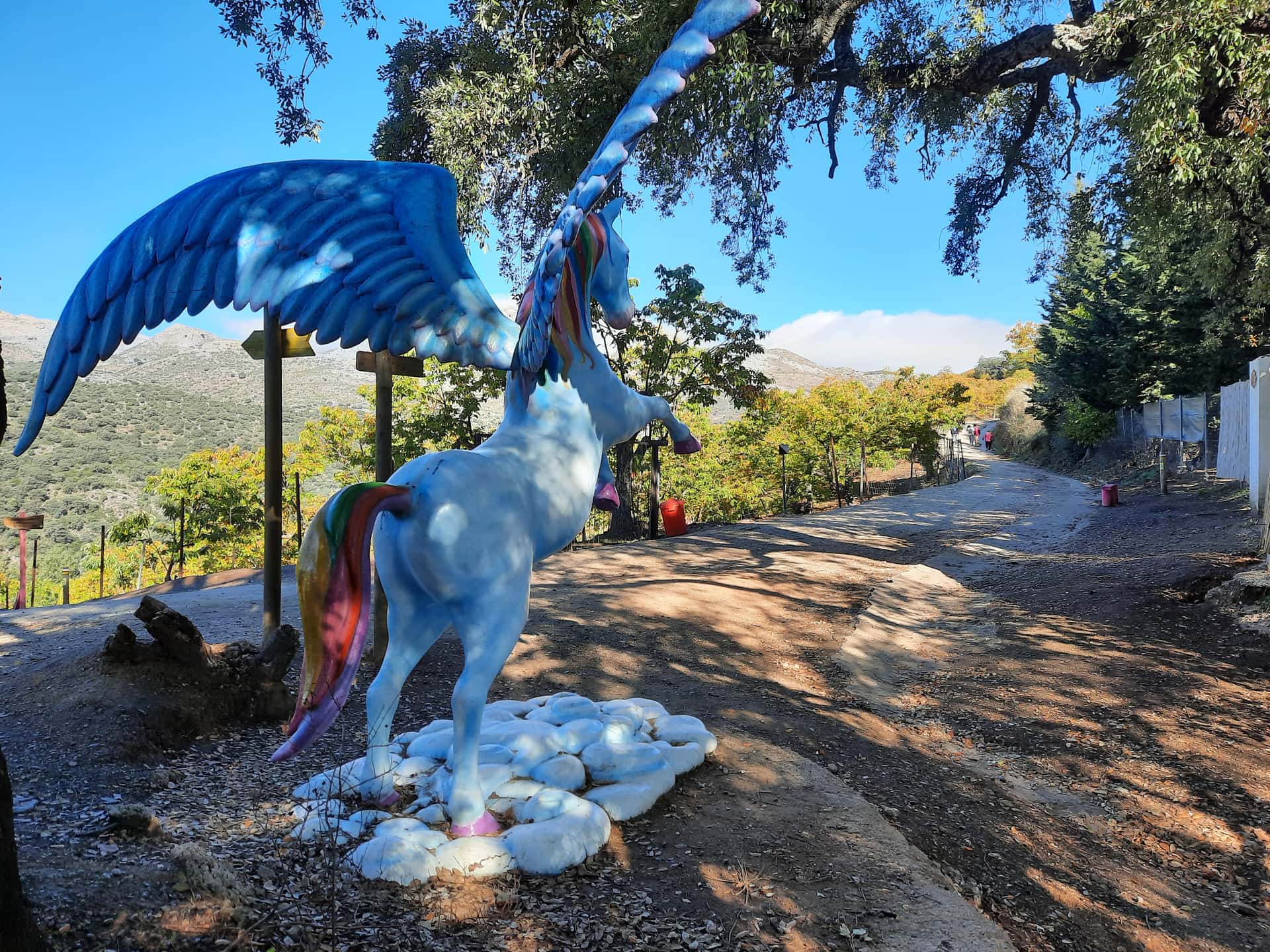 Заколдованный лес Пароты