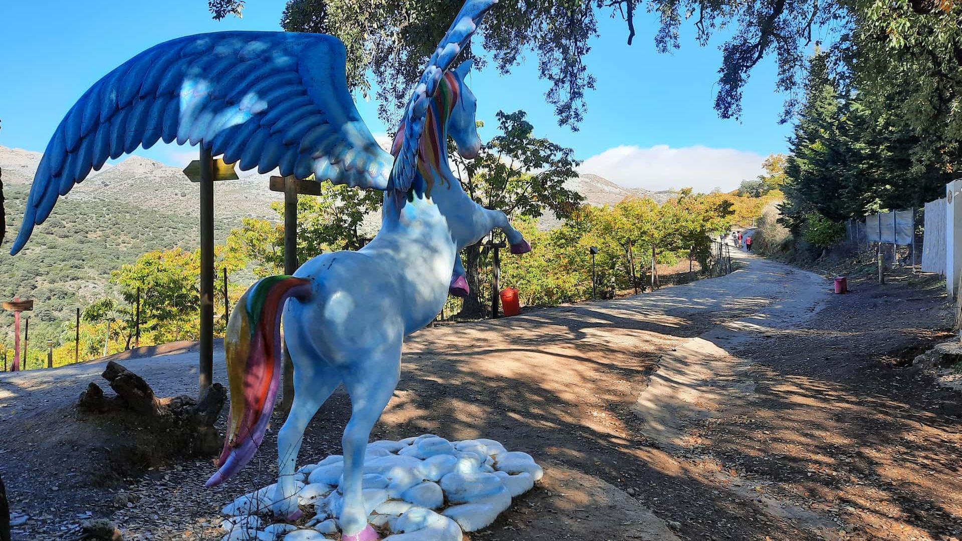 Заколдованный лес Пароты