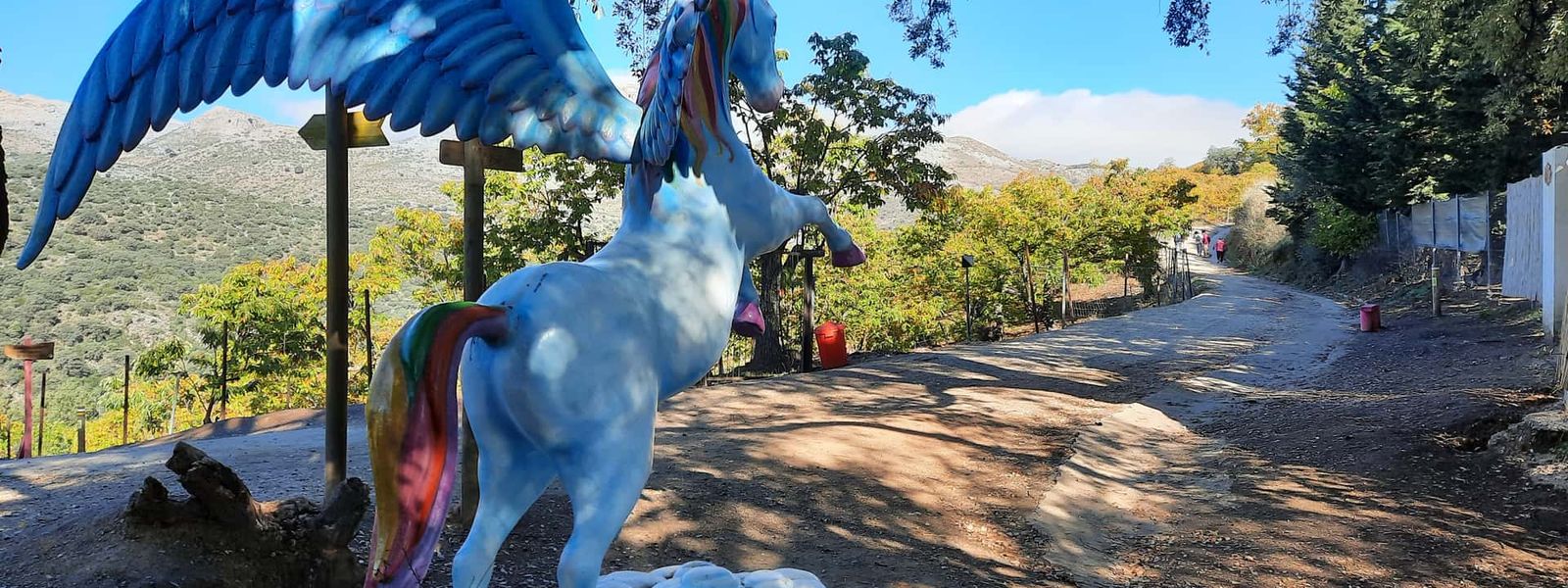 The Enchanted Forest of Parauta