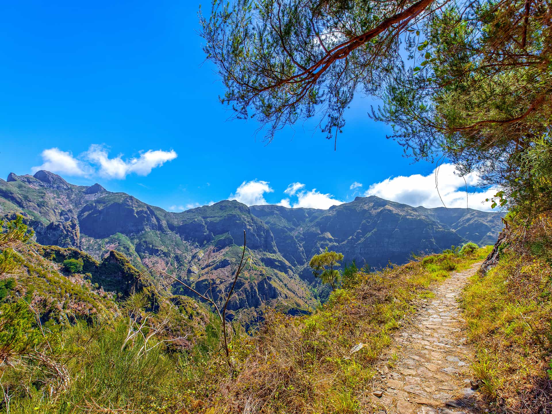 Caminho Real da Encumeada Trail (PR12)