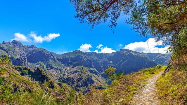 Caminho Real da Encumeada Trail (PR12)