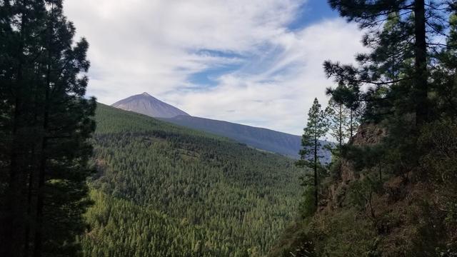 Los Organos Trail