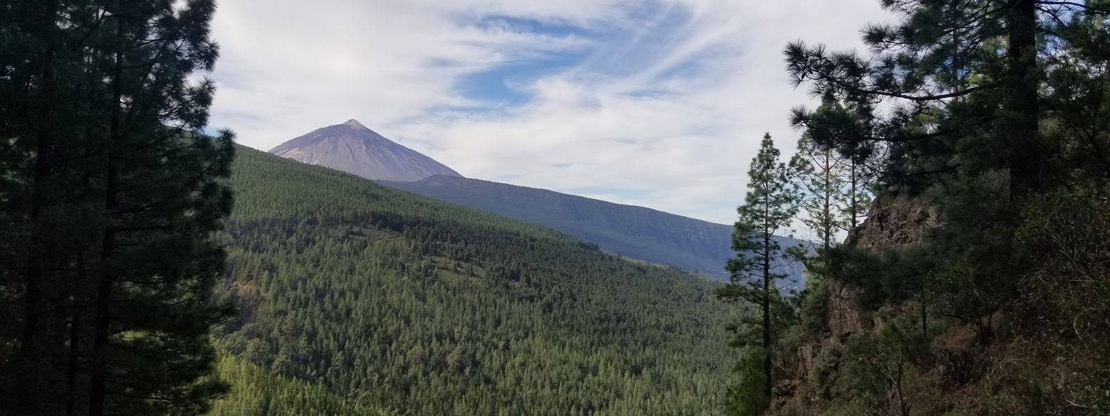 Los Organos Trail