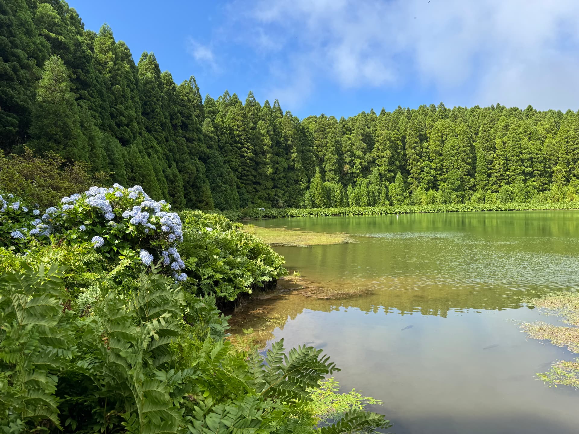 Озеро Канарио