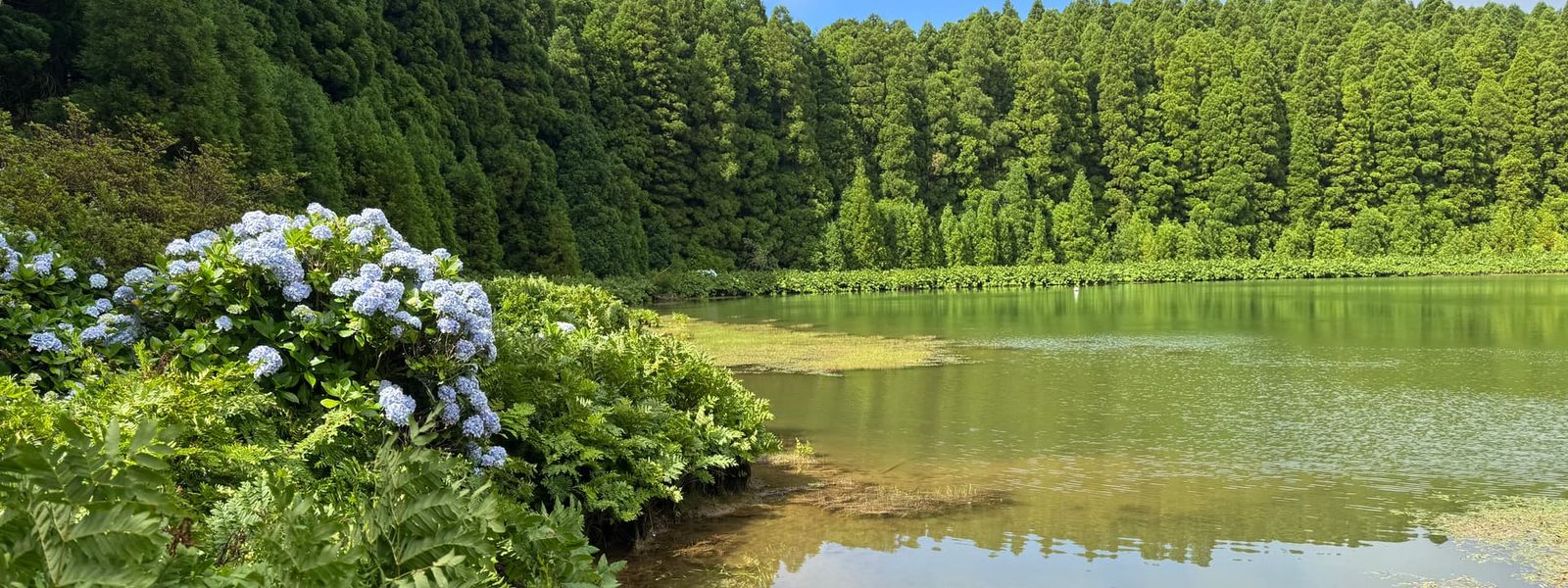 Lake Canário