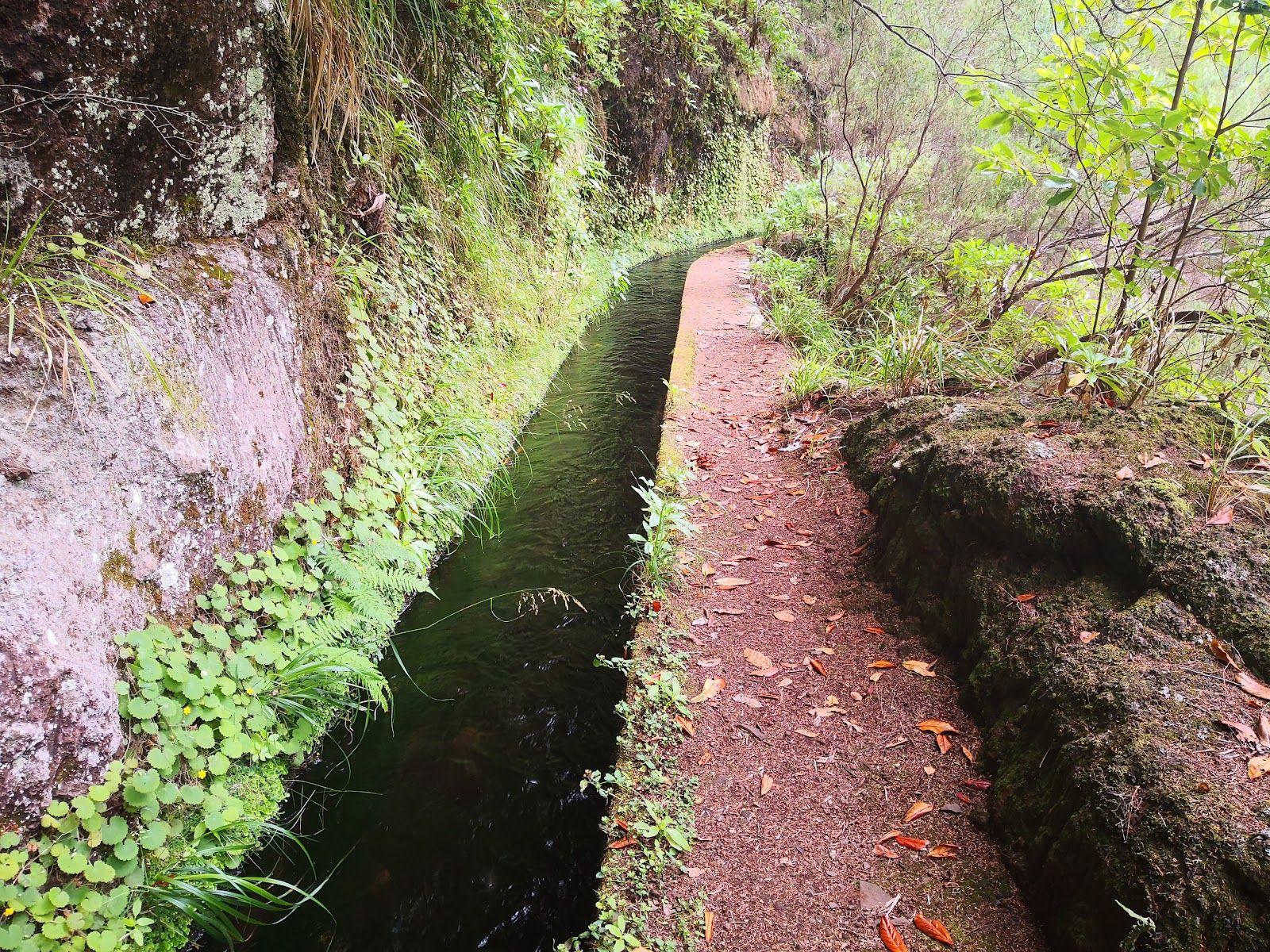 Levada da Rocha Vermelha