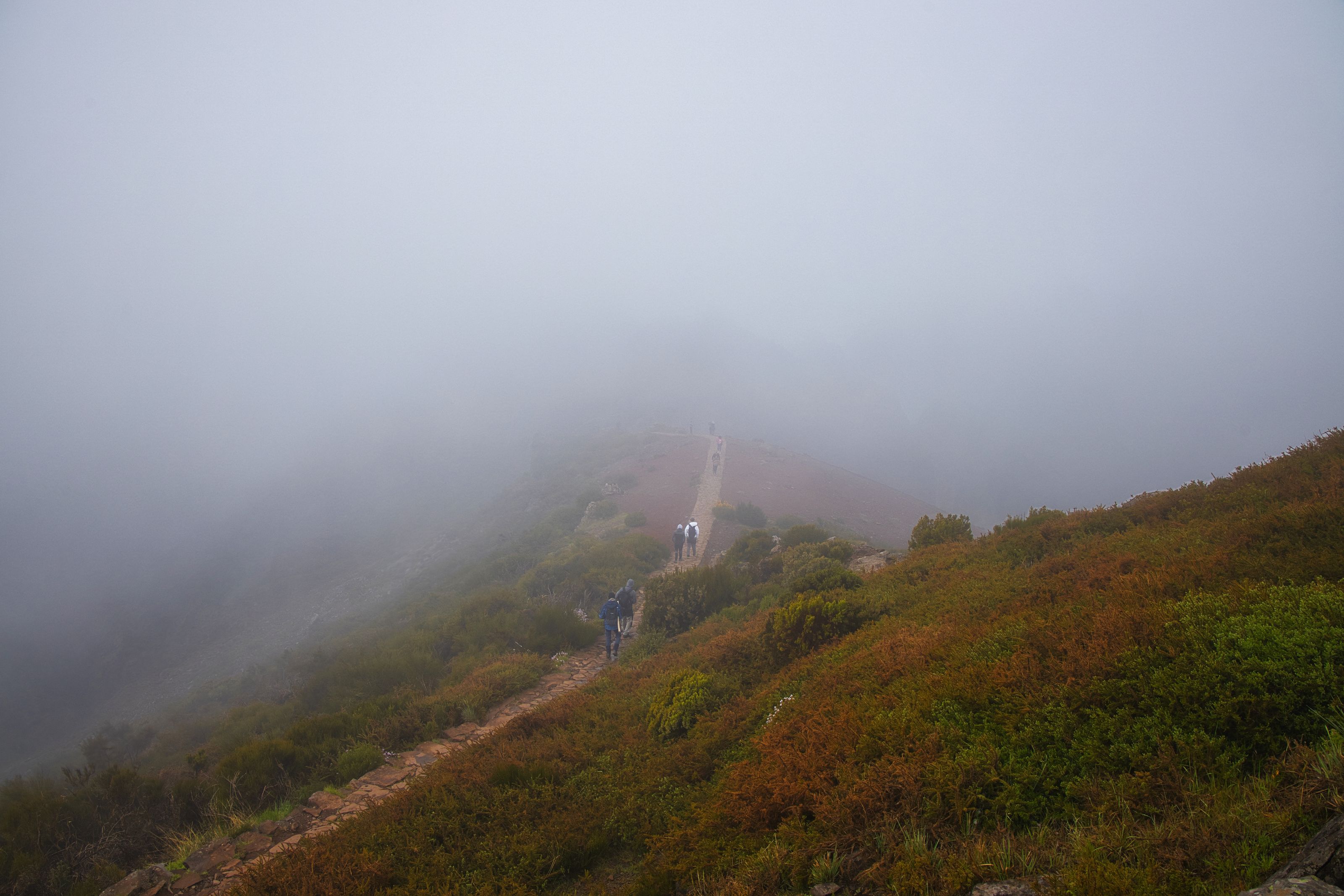 Walkers on a mountain path on Madeira disappearing into thick fog