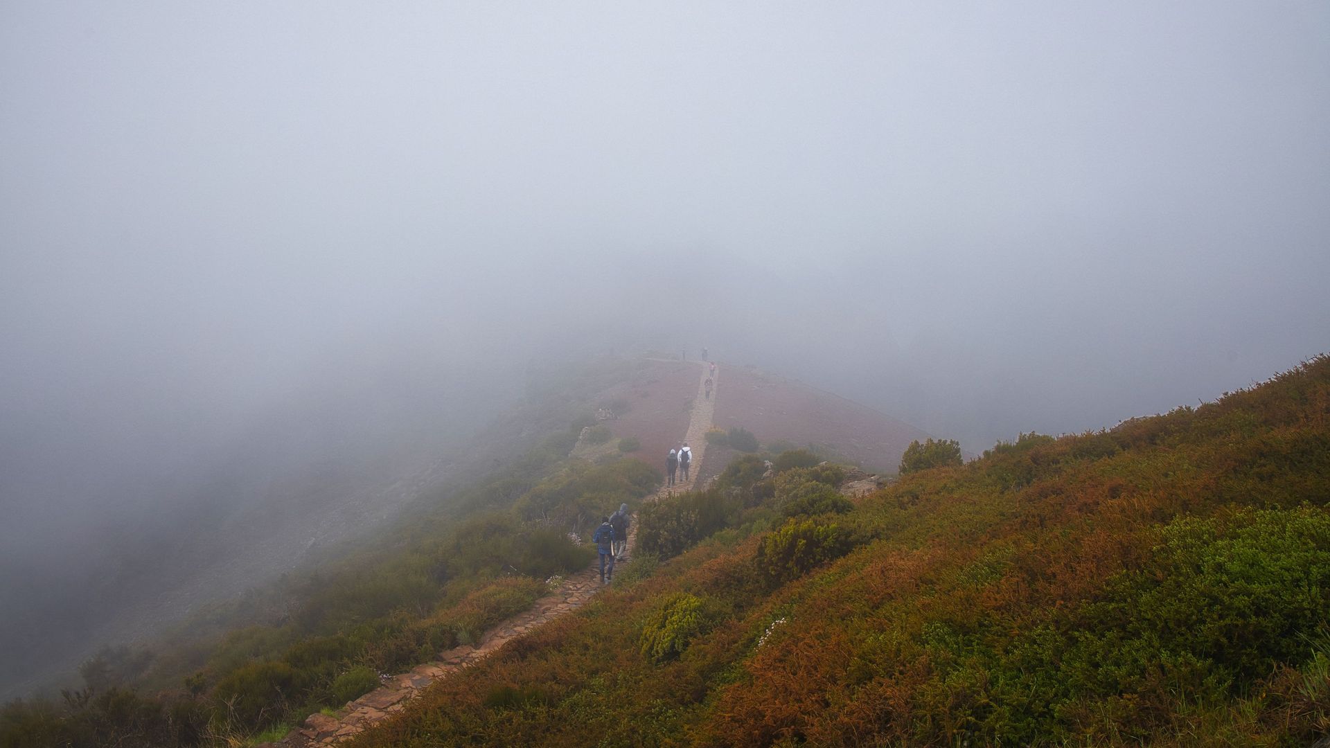 Walkers on a mountain path on Madeira disappearing into thick fog