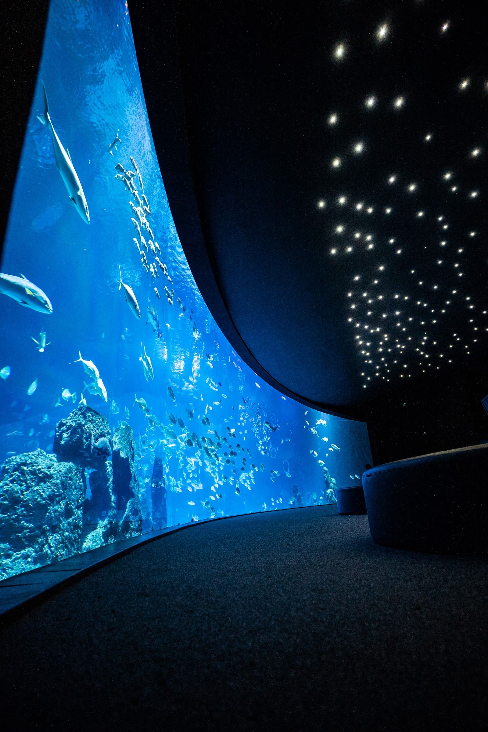 Poema del Mar Aquarium