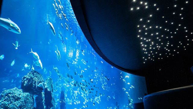 Poema del Mar Aquarium