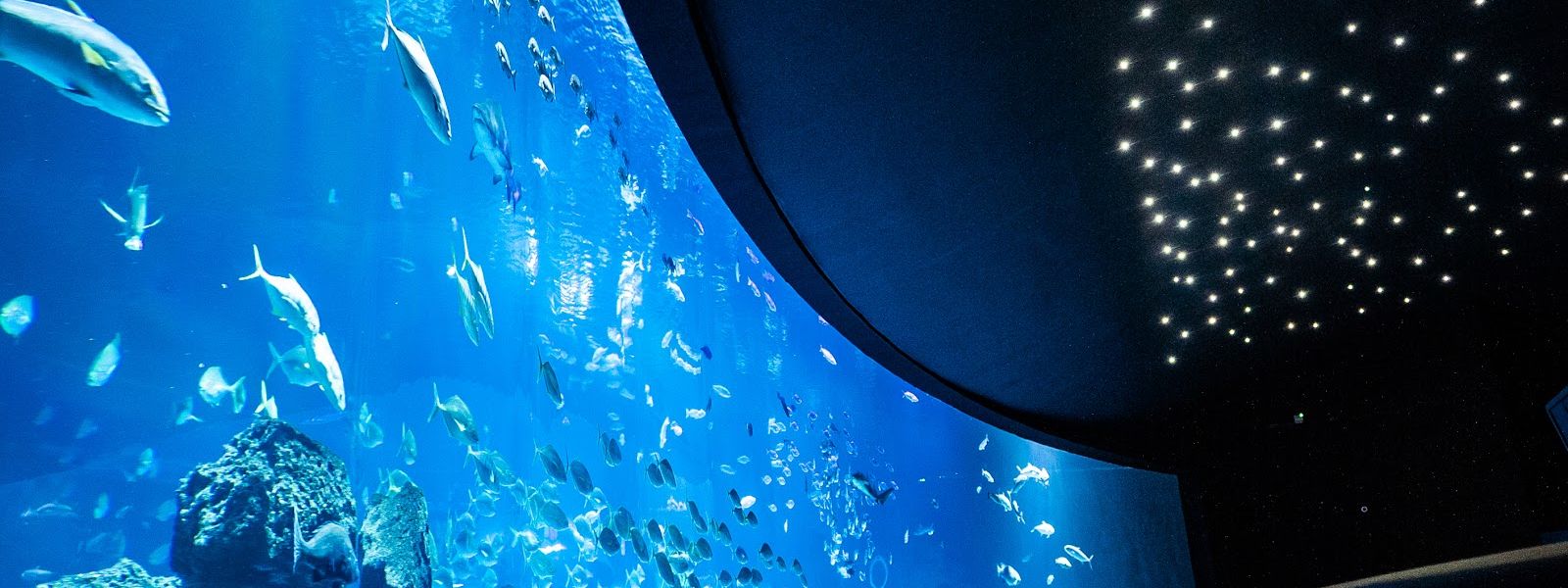 Poema del Mar Aquarium