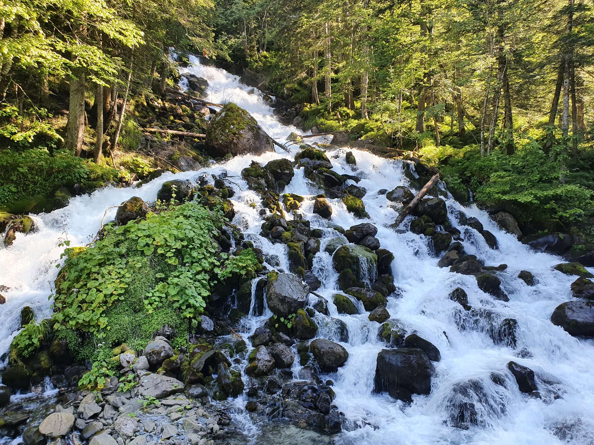 Уельс-дет-Жоеу