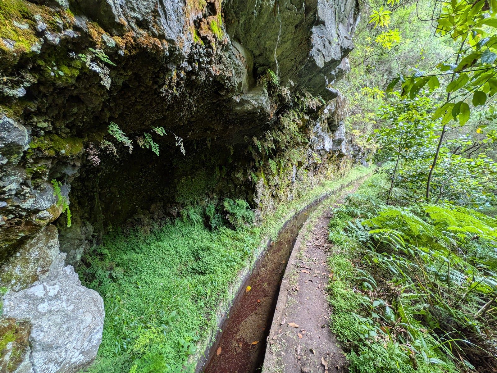 Levada da Silveira