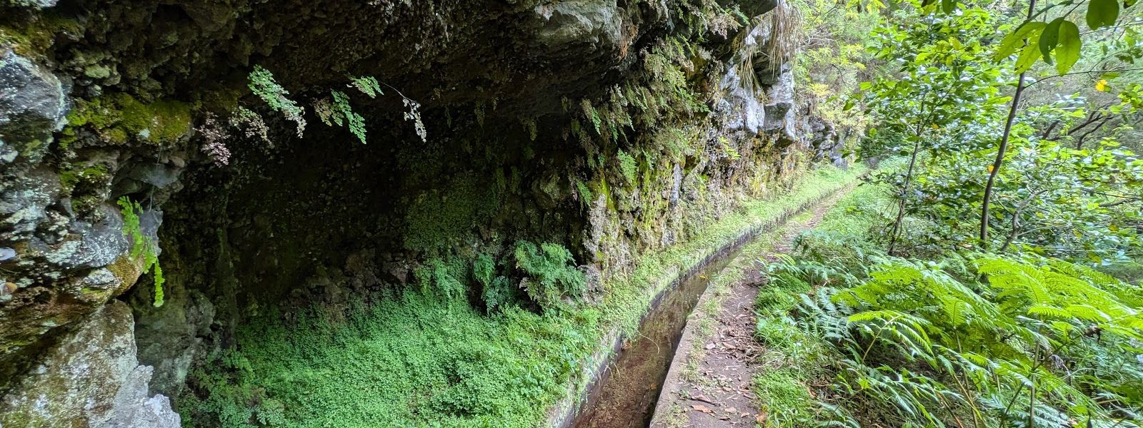 Levada da Silveira