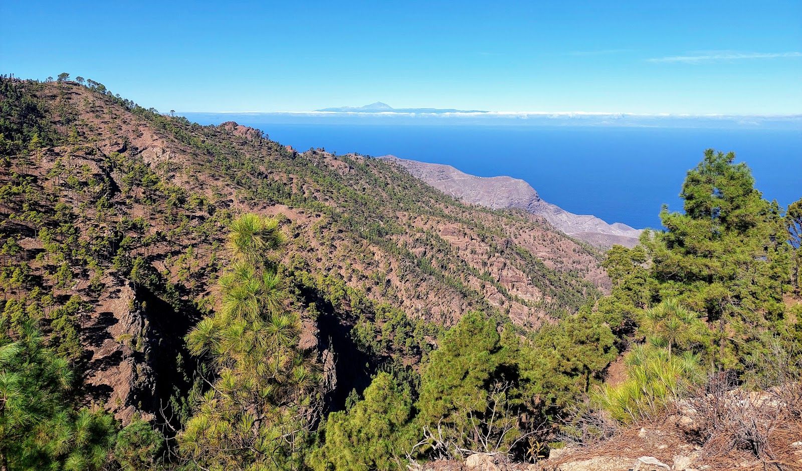 Tamadaba Natural Park