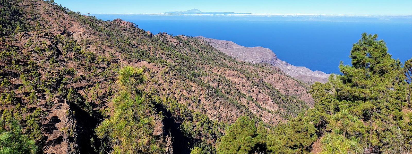 Tamadaba Natural Park