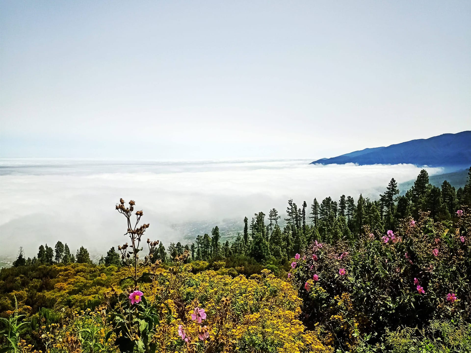 Оглядовий майданчик Ель-Асомадеро