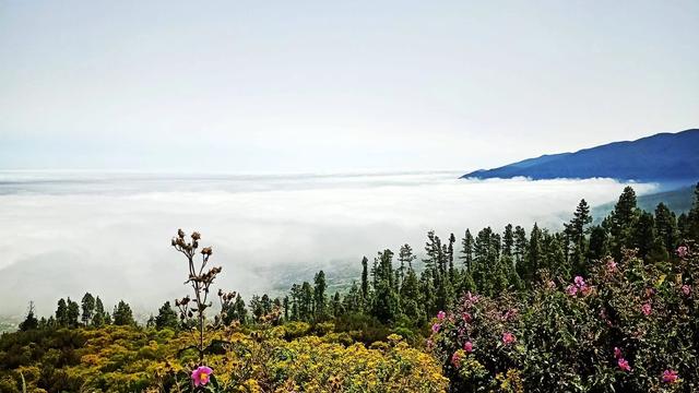 Оглядовий майданчик Ель-Асомадеро