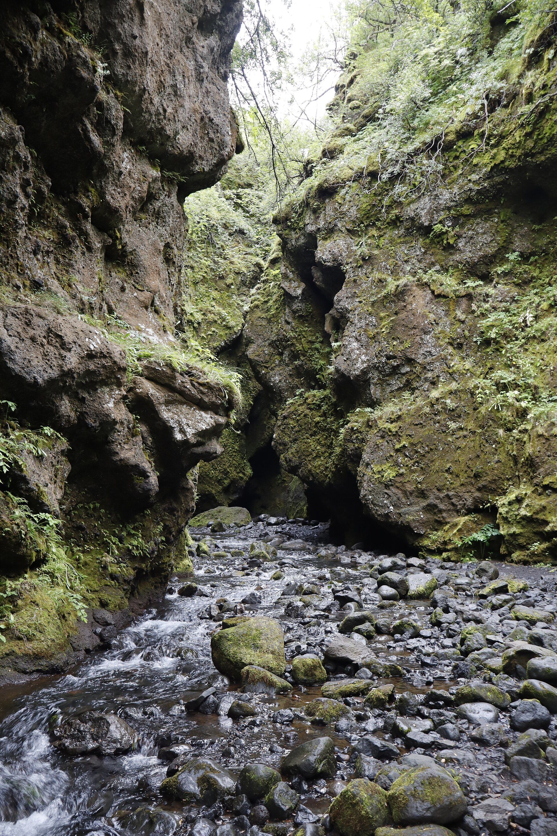 Nauthusagil Ravine