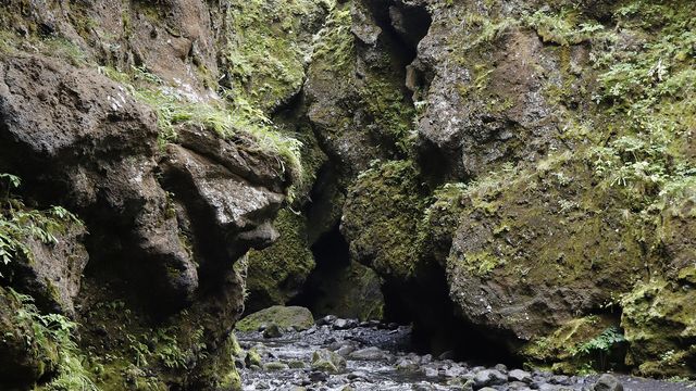 Nauthusagil Ravine
