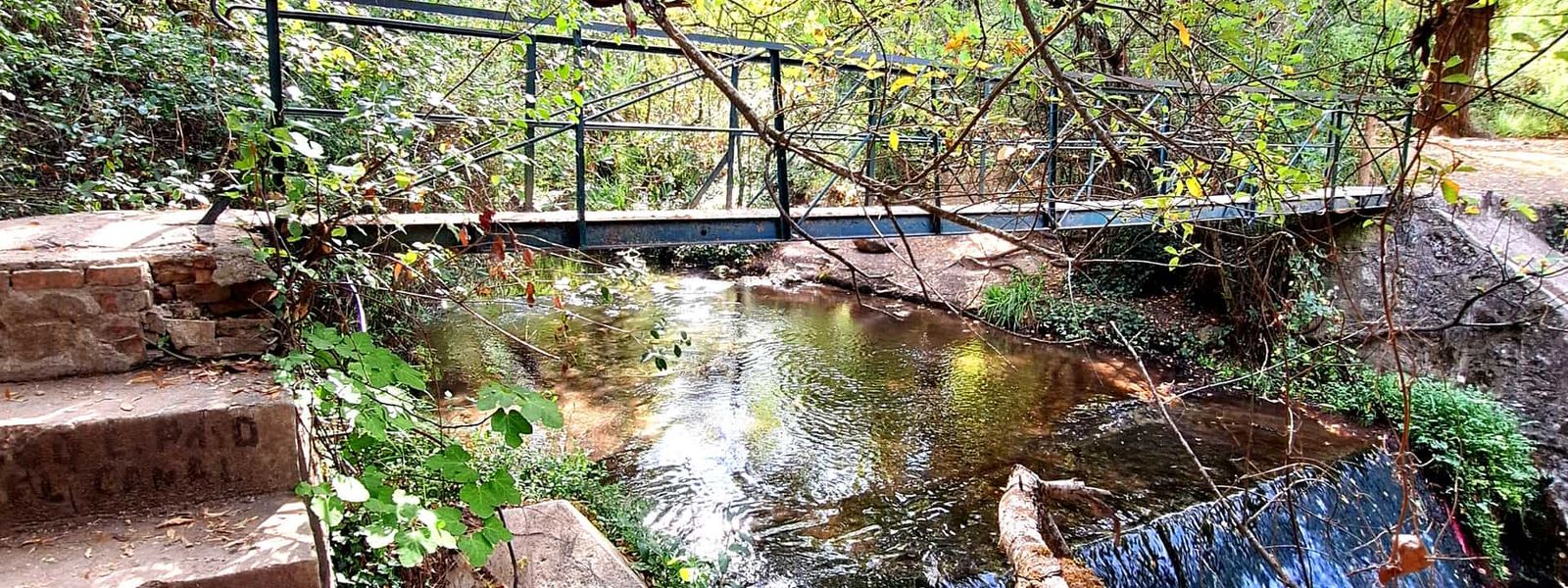 Rio Majaceite Trail