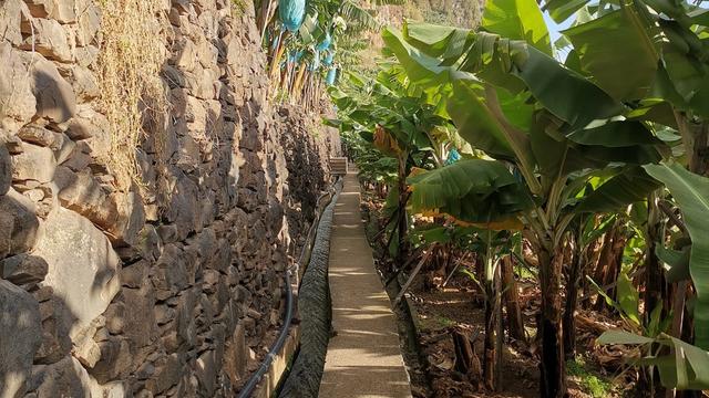 RB2 Vereda do Nateiro (Banana route)