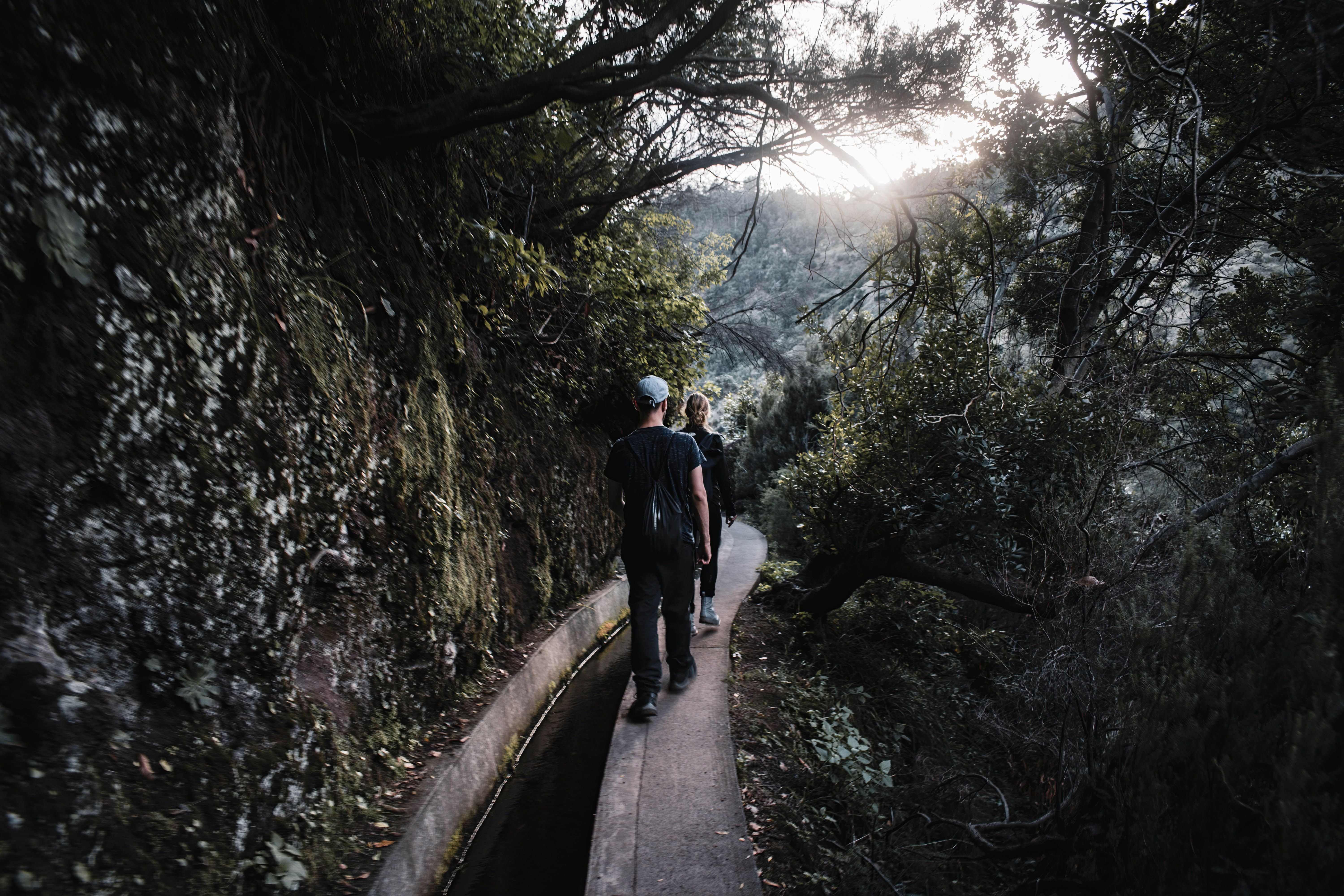 Best time to visit Madeira