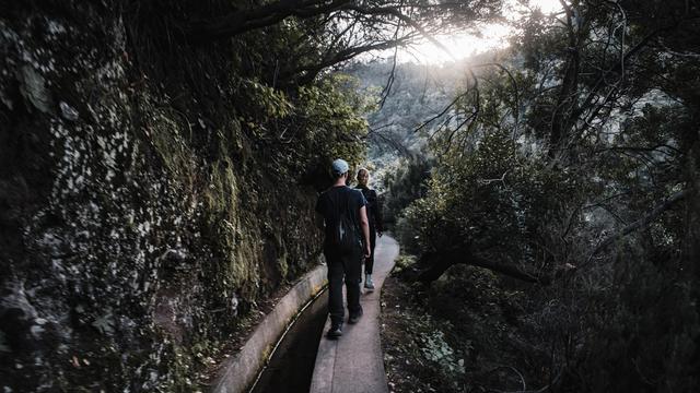 Best time to visit Madeira