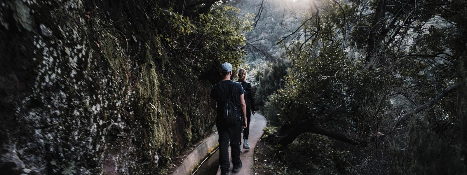 Best time to visit Madeira