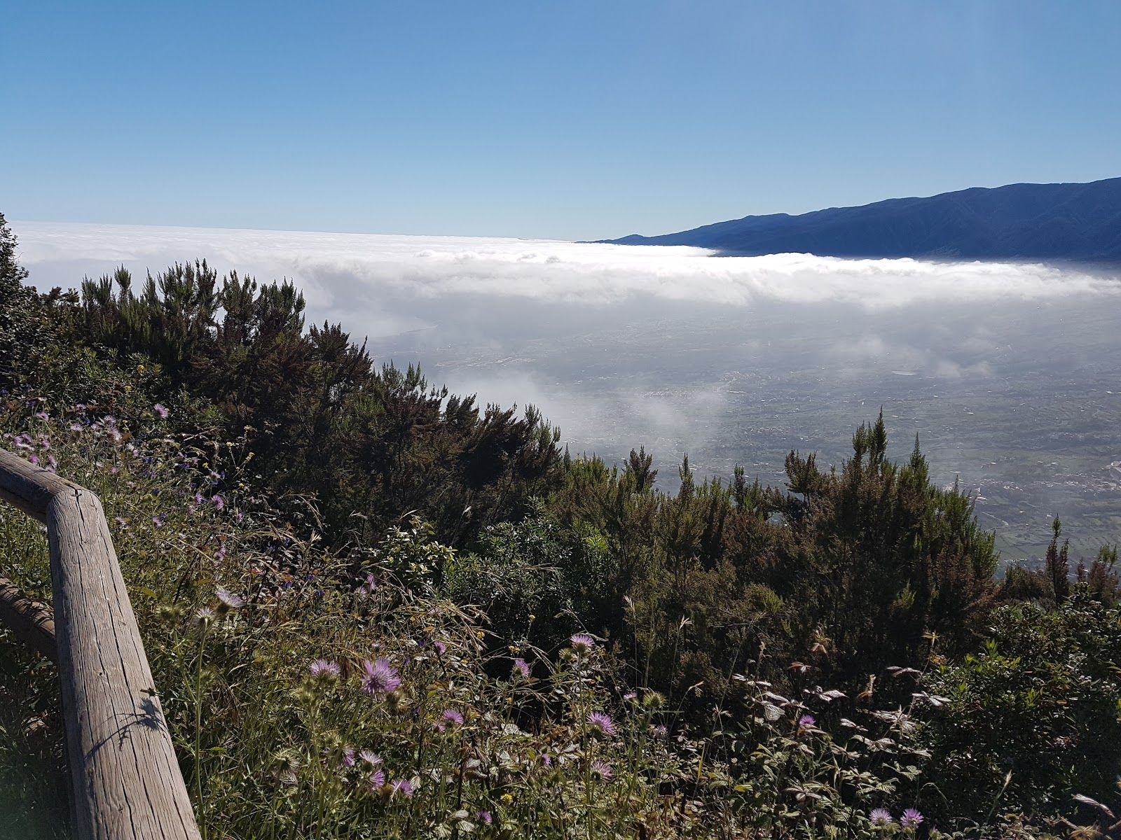 El Asomadero Viewpoint