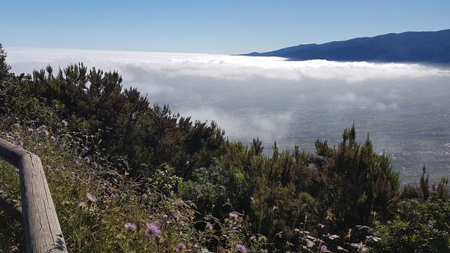 El Asomadero Viewpoint